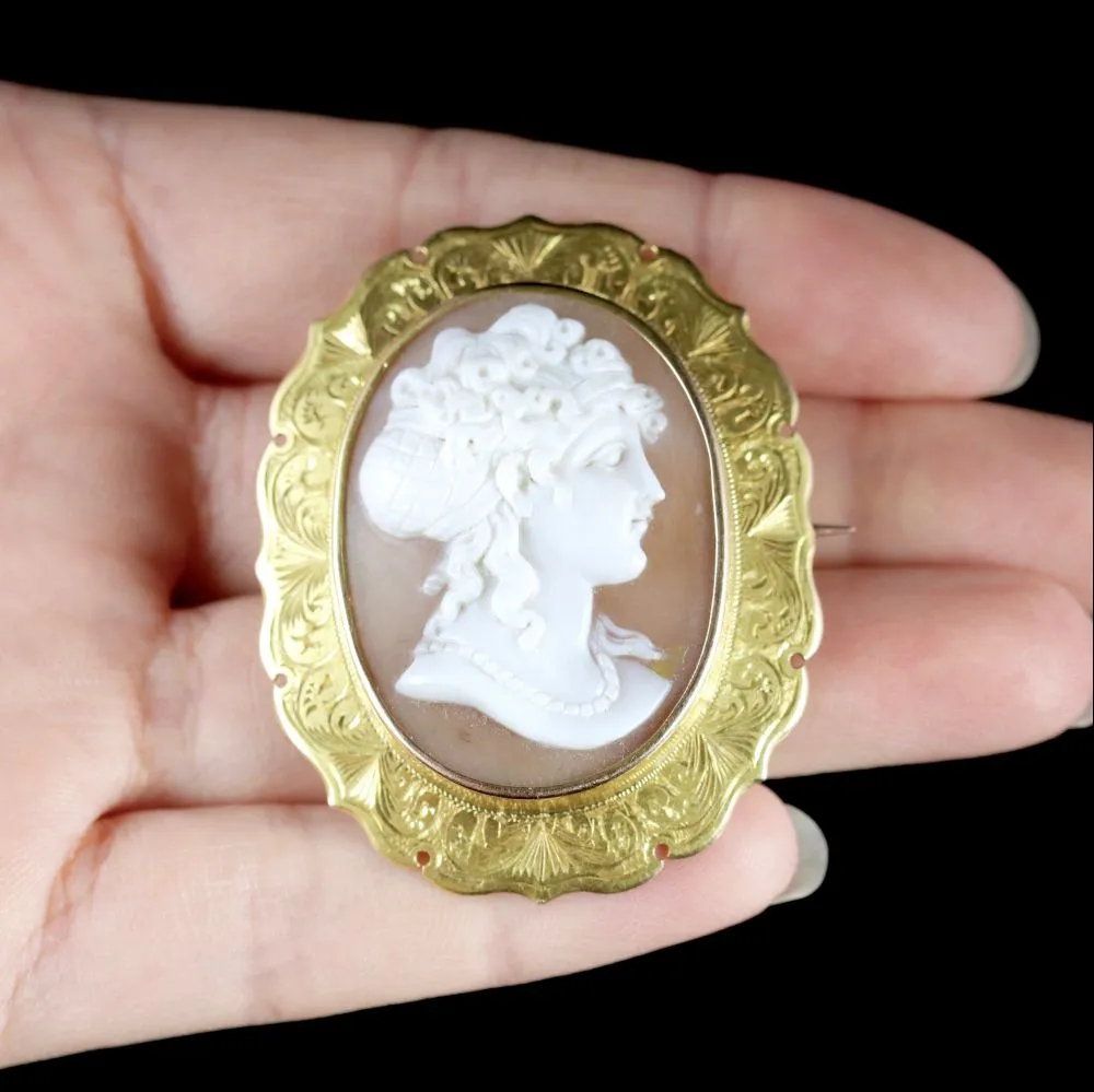 Antique Victorian 15Ct Gold Cameo Brooch Circa 1880