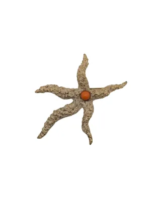 Corallo Star Vintage Brooch